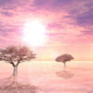 Meet your Posher, Mcda